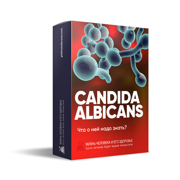 Candida Albicans. Что о ней надо знать